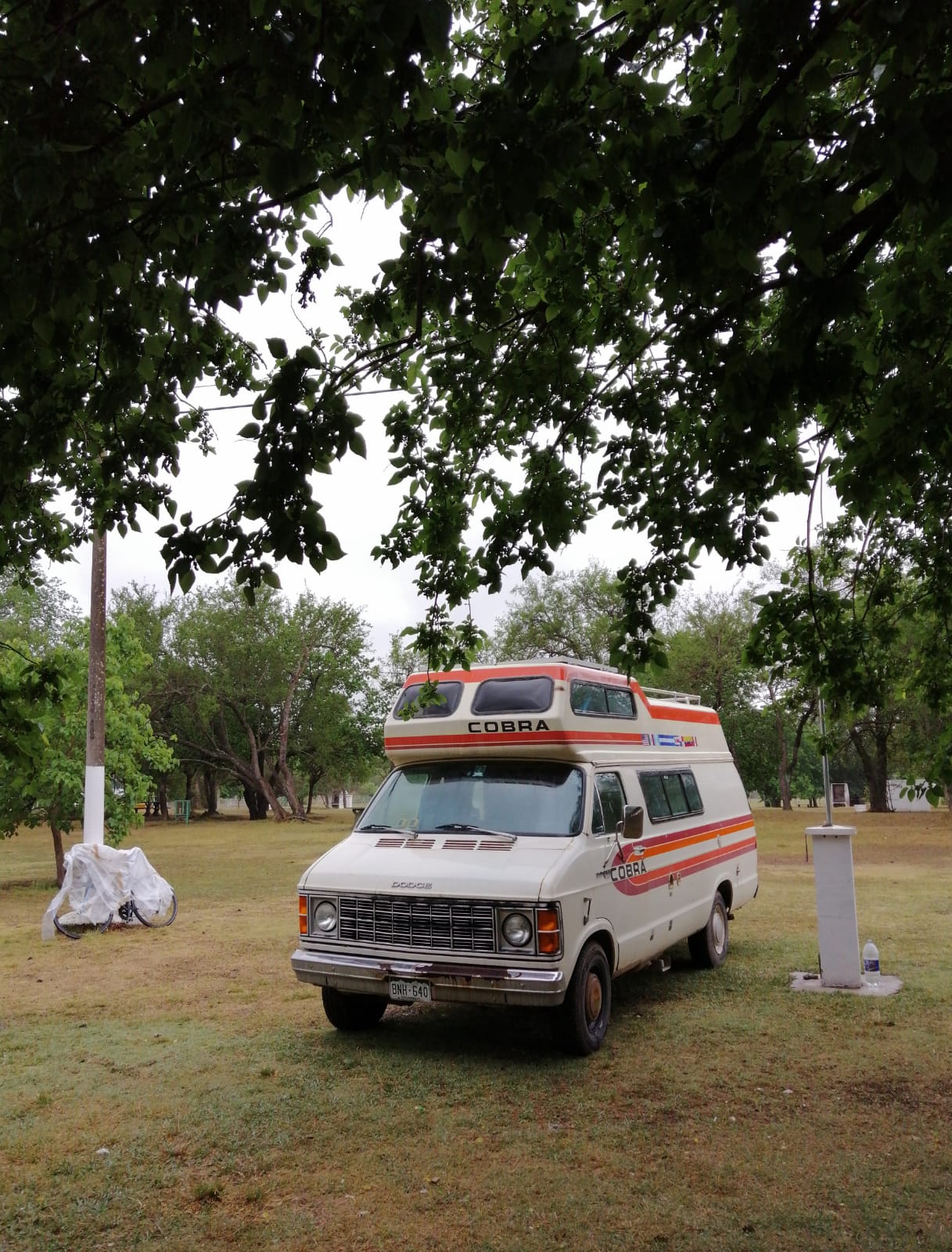 La Cobra en el Camping municipal de San Martín